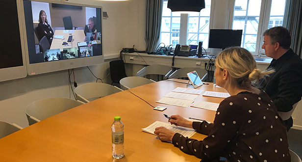 CRISIS CONSULTATION ON COVID-19